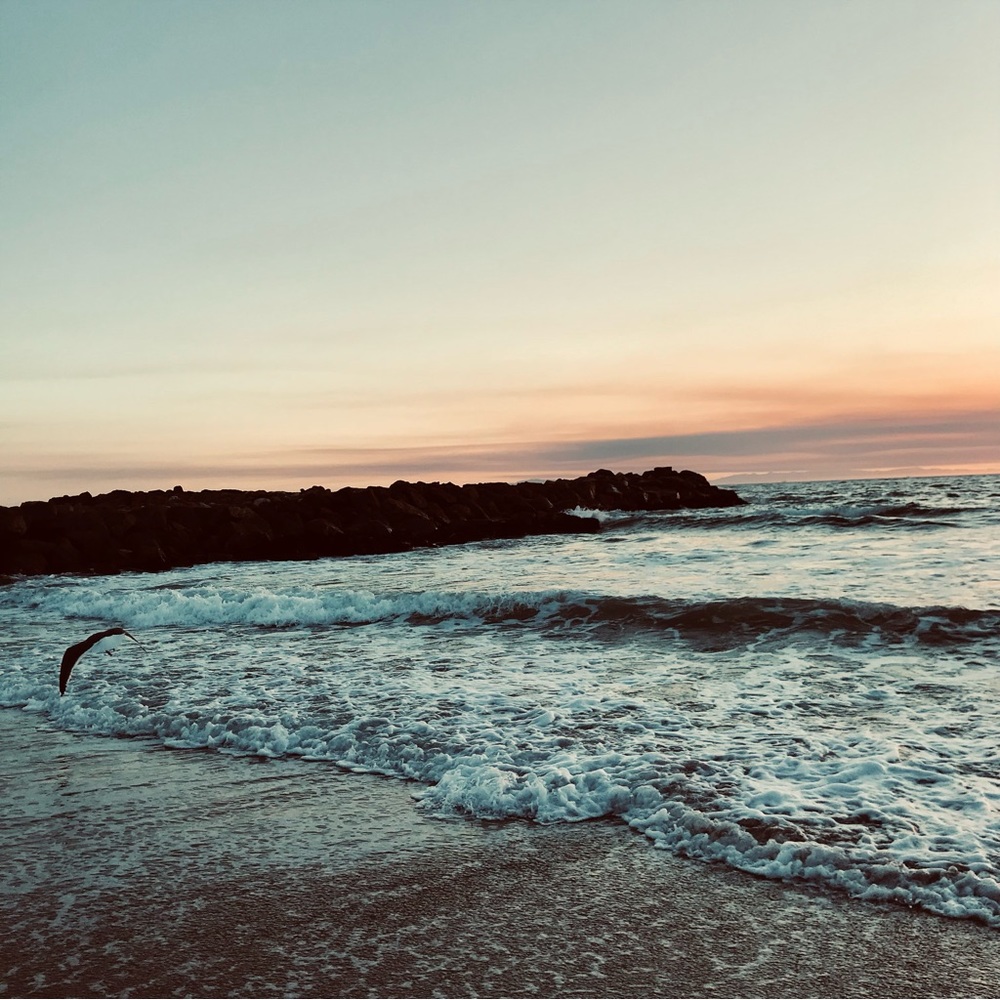 Meet your Posher, Ciro